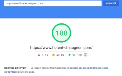 Comment j’ai obtenu 100 sur Google Page Speed avec Divi.